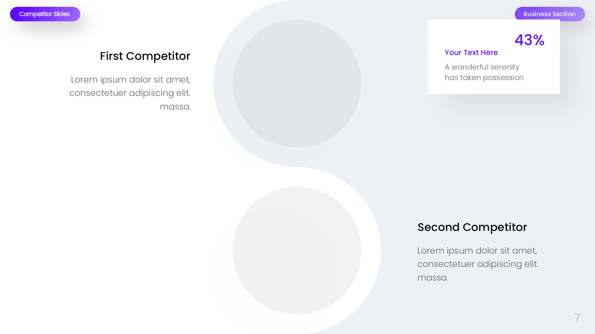 Competitor Business Section Light slide 7